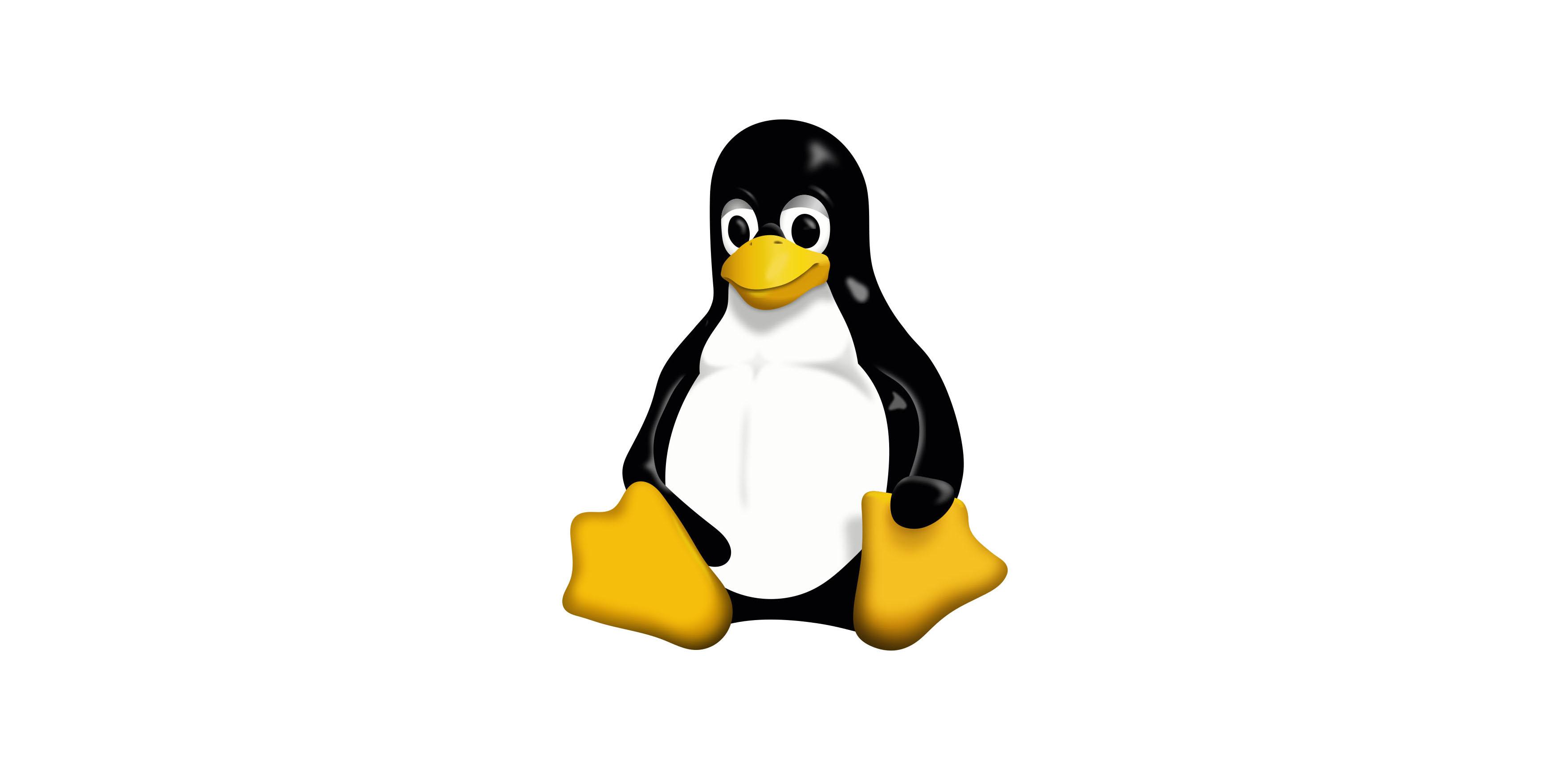 Linux kernel project visual with Tux mascot